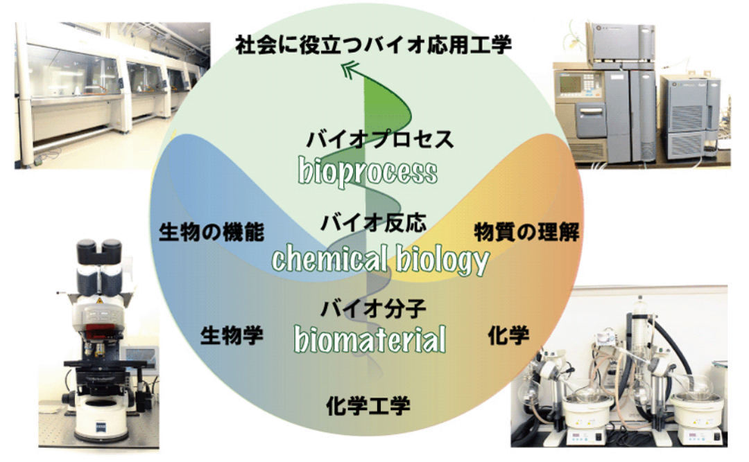 化学バイオ応用工学